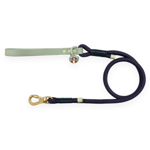 Disney© 4ft Rope Lead - Winnie + Friends - Sage and Blue