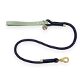 Disney© 4ft Rope Lead - Winnie + Friends - Sage and Blue