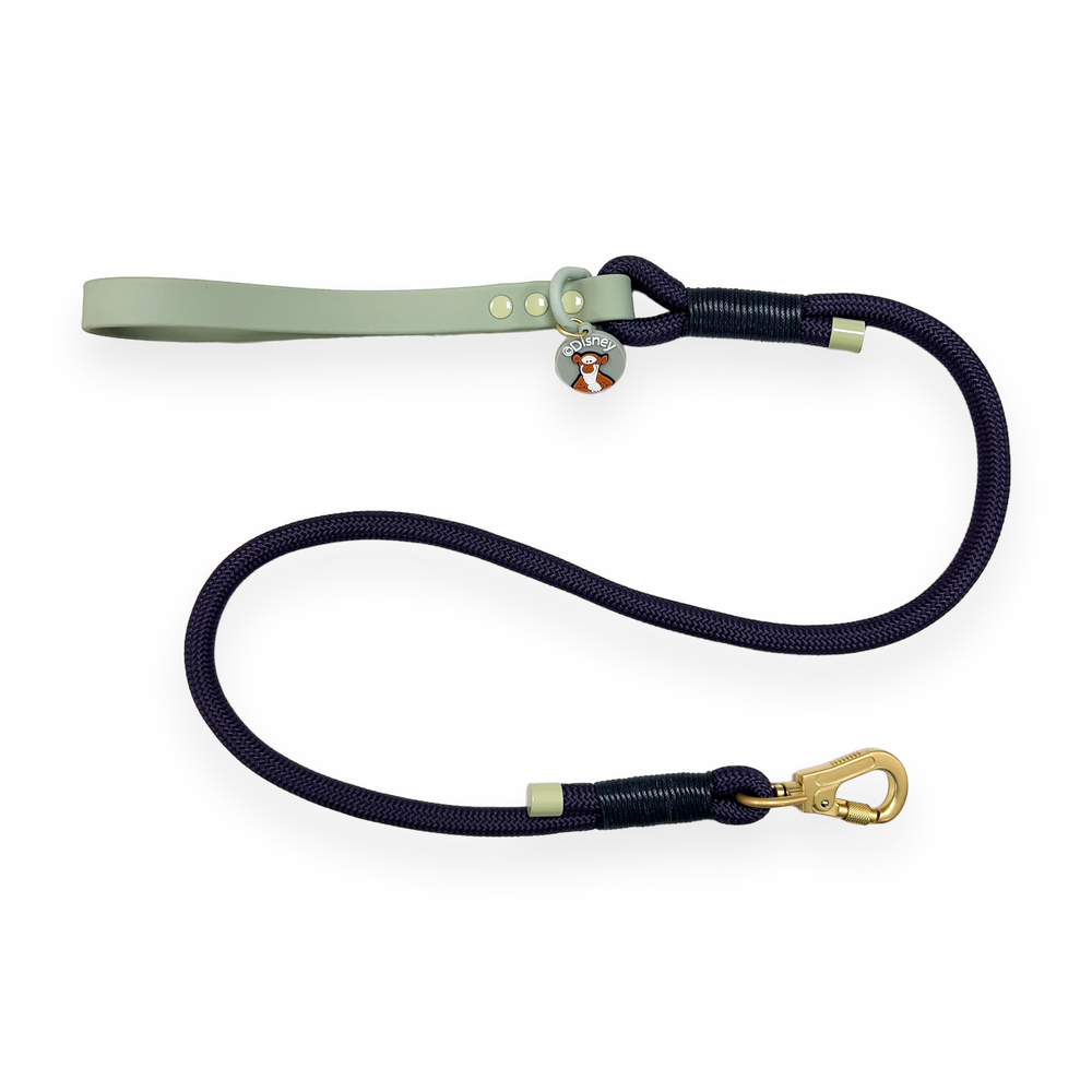 Disney© 4ft Rope Lead - Winnie + Friends - Sage and Blue