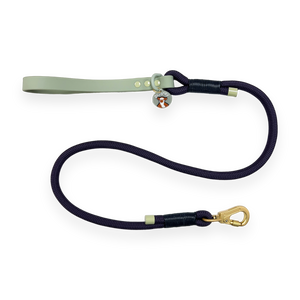 Disney© 4ft Rope Lead - Winnie + Friends - Sage and Blue