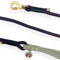 Disney© 4ft Rope Lead - Winnie + Friends - Sage and Blue