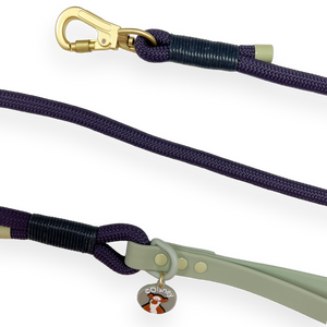 Disney© 4ft Rope Lead - Winnie + Friends - Sage and Blue