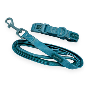 Pawsome Pup Collar and Lead Set - Teal