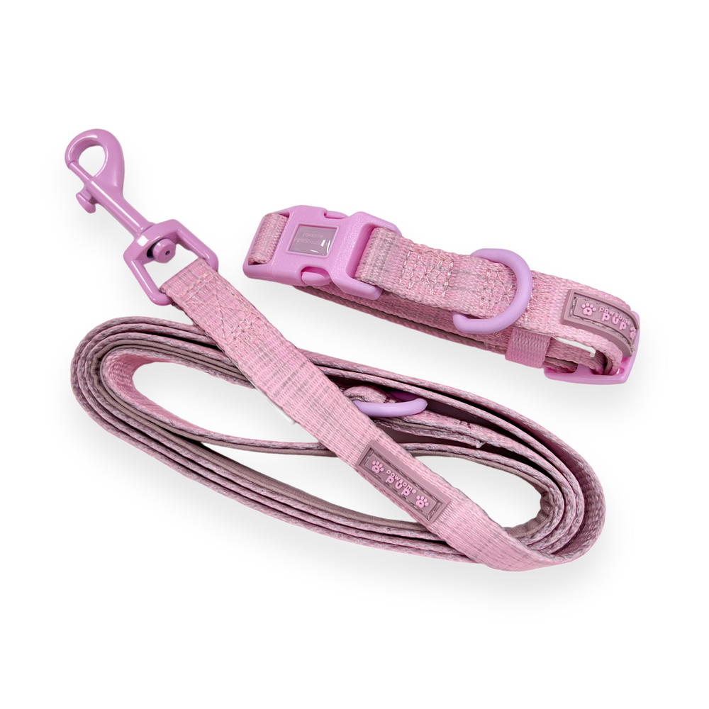 Pawsome Pup Collar and Lead Set - Pink