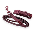 Pawsome Pup Collar and Lead Set - Burgundy