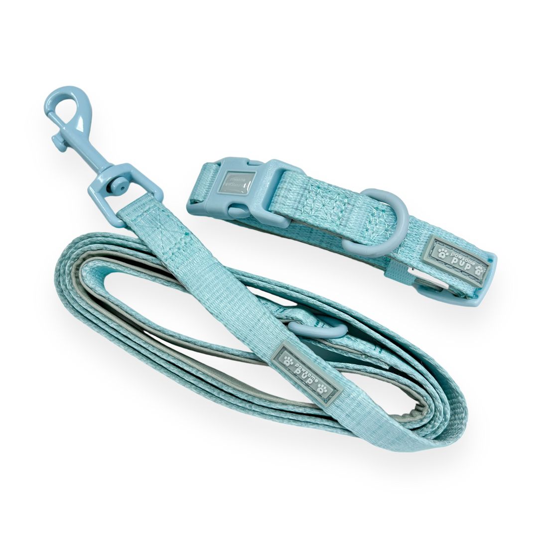 Pawsome Pup Collar and Lead Set - Mint