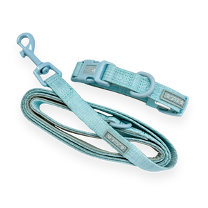 Pawsome Pup Collar and Lead Set - Mint