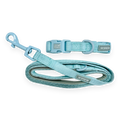 Pawsome Pup Collar and Lead Set - Mint