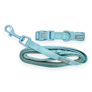 Pawsome Pup Collar and Lead Set - Mint