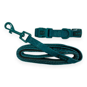 Pawsome Pup Collar and Lead Set - Emerald