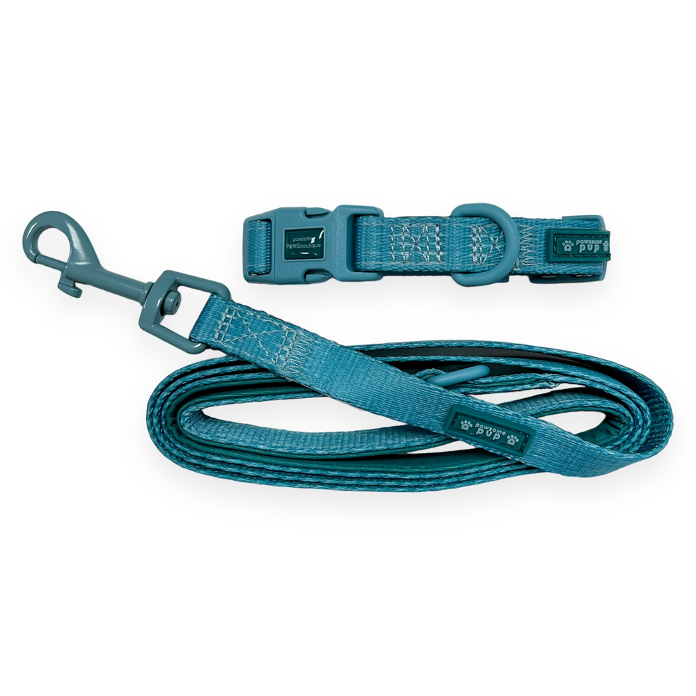 Pawsome Pup Collar and Lead Set - Teal