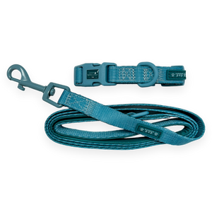 Pawsome Pup Collar and Lead Set - Teal