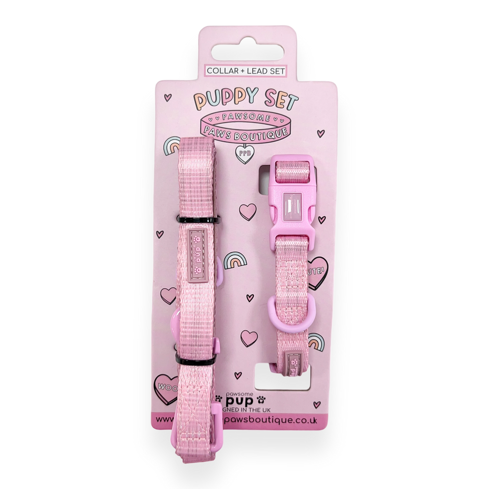 Pawsome Pup Collar and Lead Set - Pink