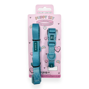Pawsome Pup Collar and Lead Set - Teal