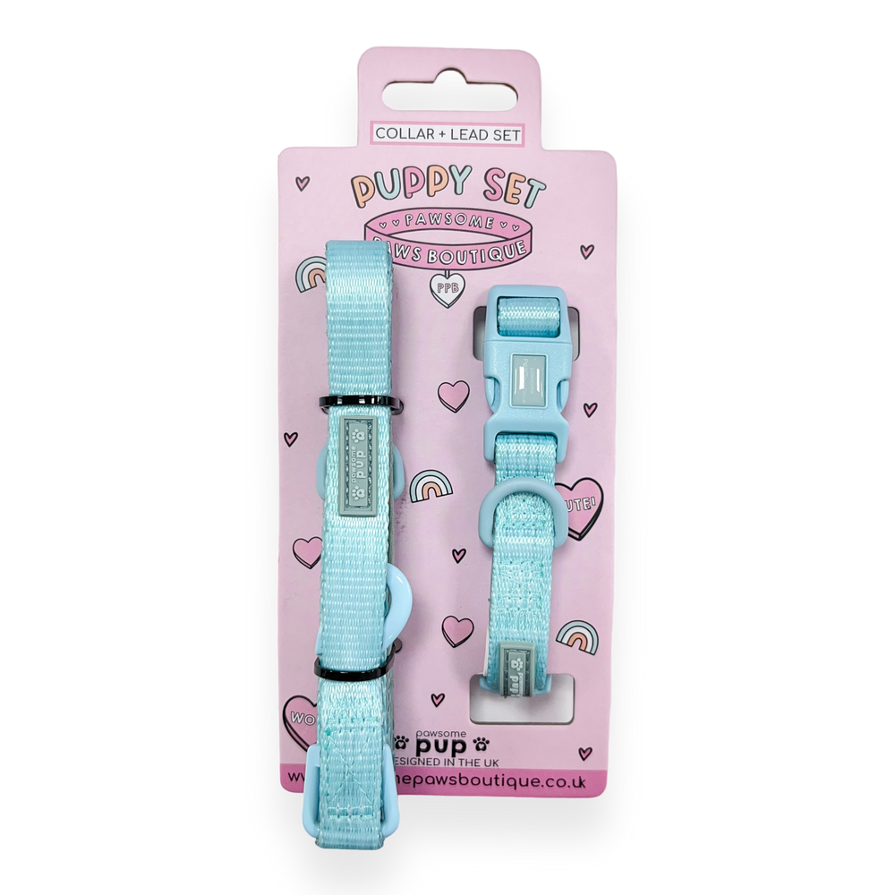 Pawsome Pup Collar and Lead Set - Mint