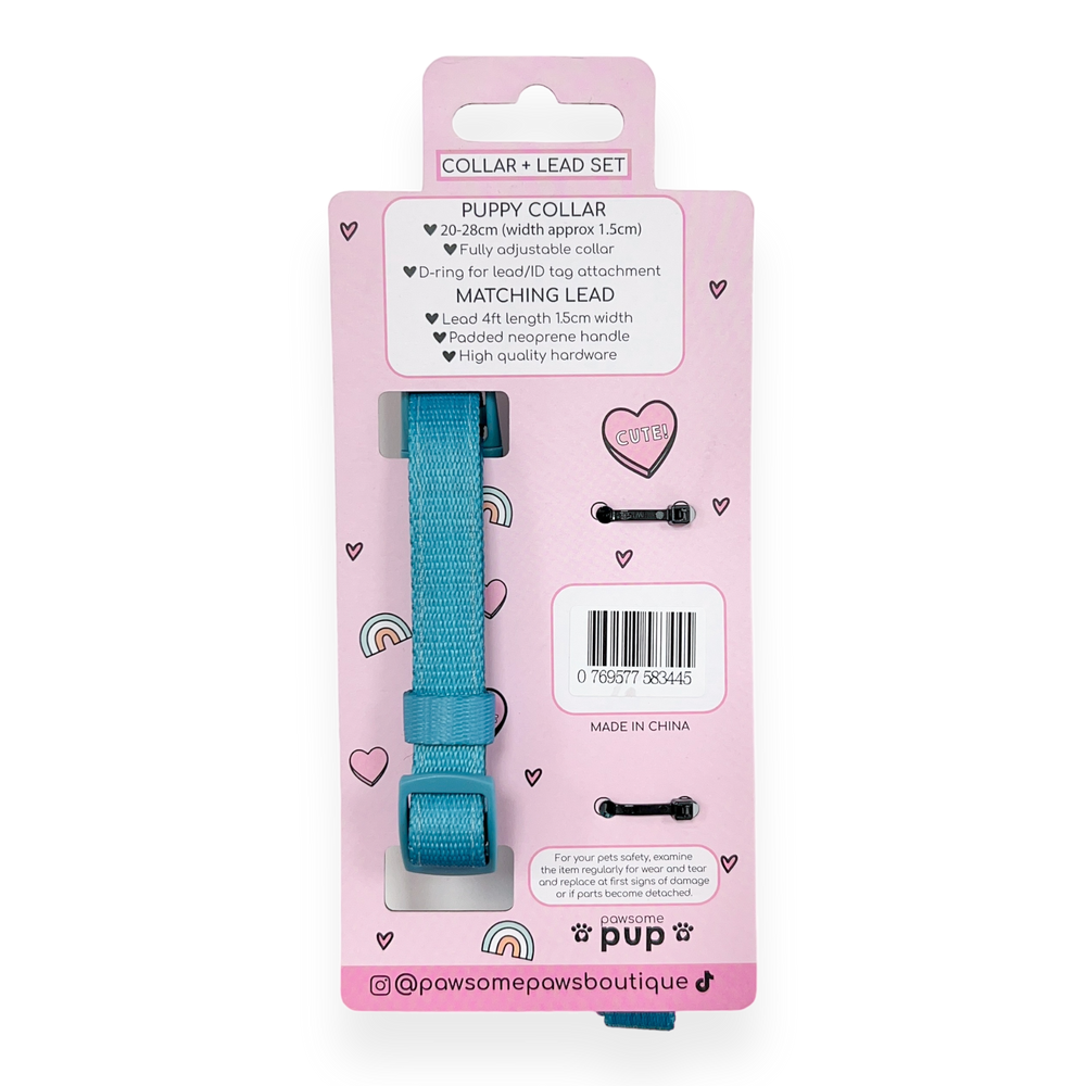 Pawsome Pup Collar and Lead Set - Teal