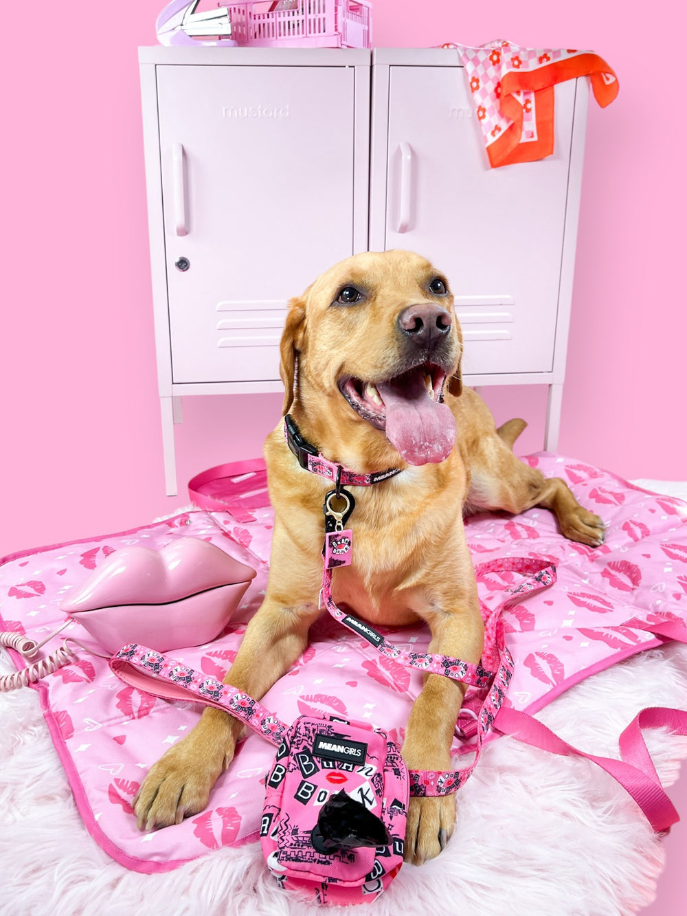 Burn Book Collar/Lead Charm - Mean Girls