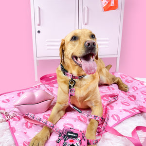 Burn Book Collar/Lead Charm - Mean Girls