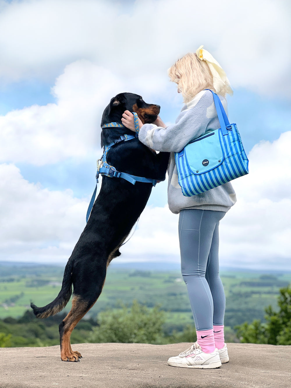 Disney© Travel Mat - Simba