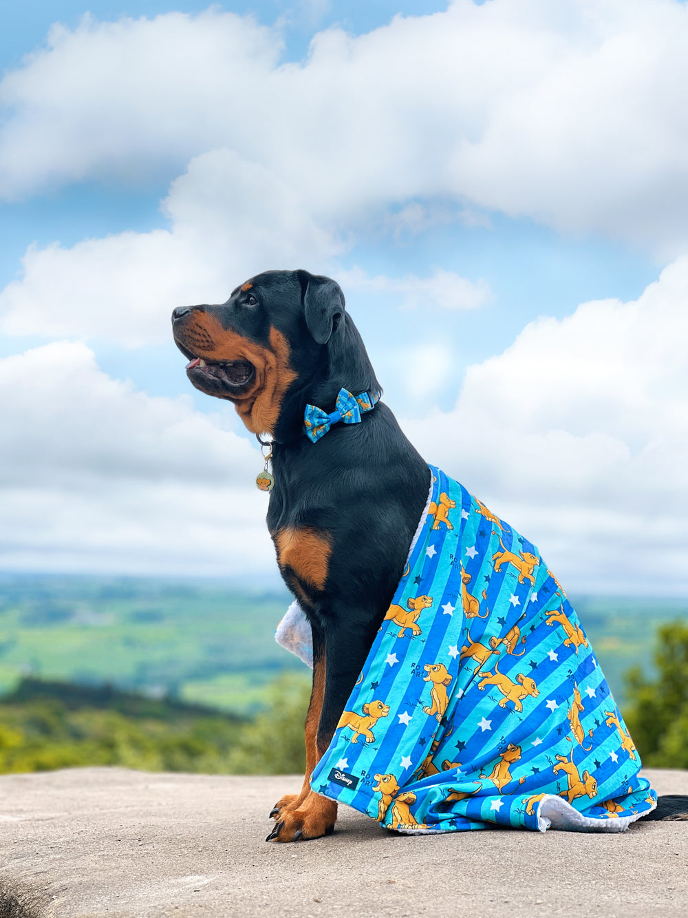 Disney© Dog Blanket - Simba