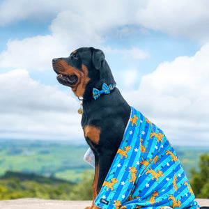 Disney© Dog Blanket - Simba