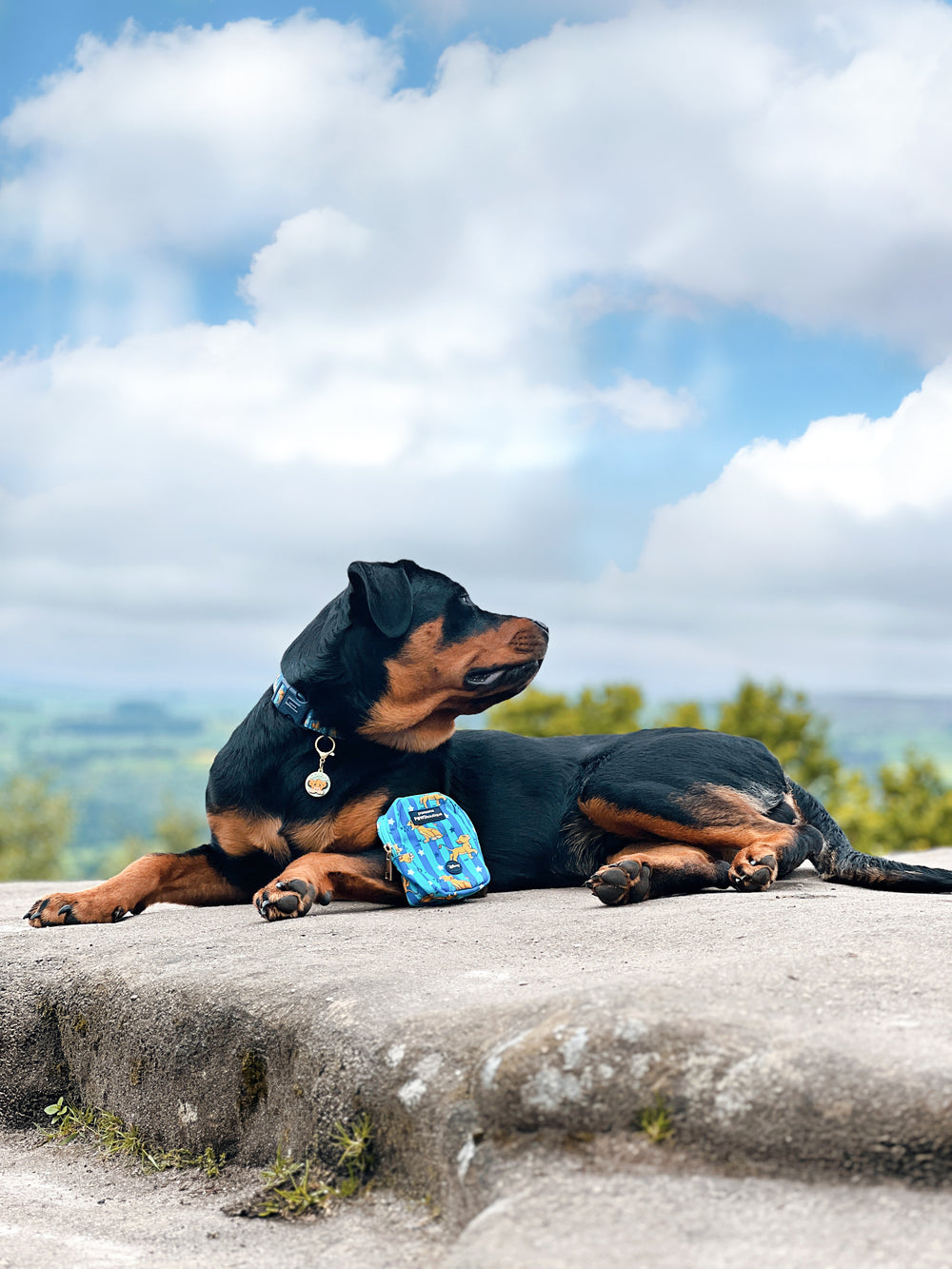 Disney© Treat + Go Bag - Simba