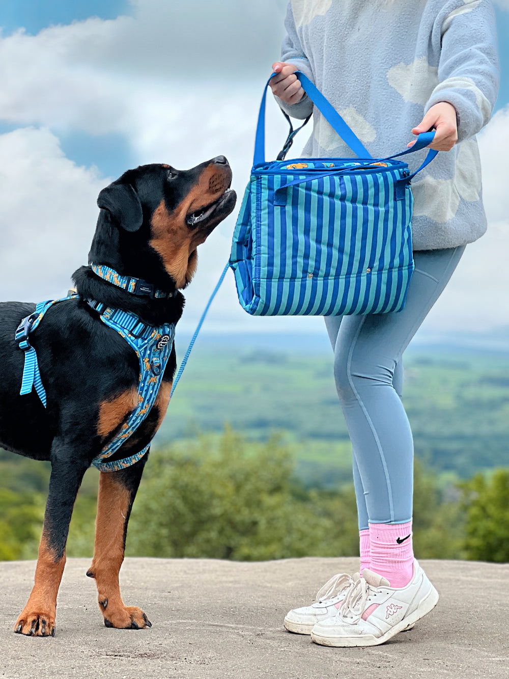 Disney© Travel Mat - Simba