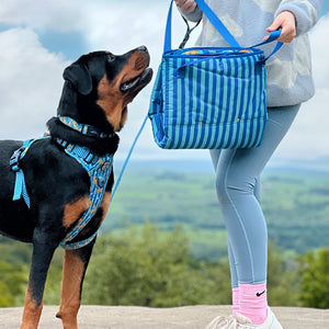 Disney© Travel Mat - Simba