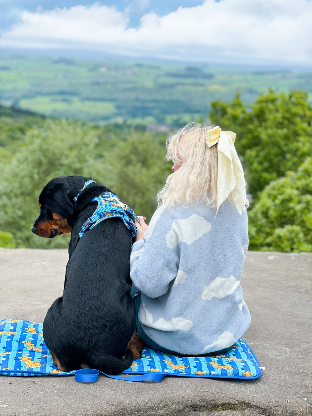 Disney© Travel Mat - Simba