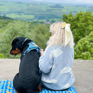 Disney© Travel Mat - Simba