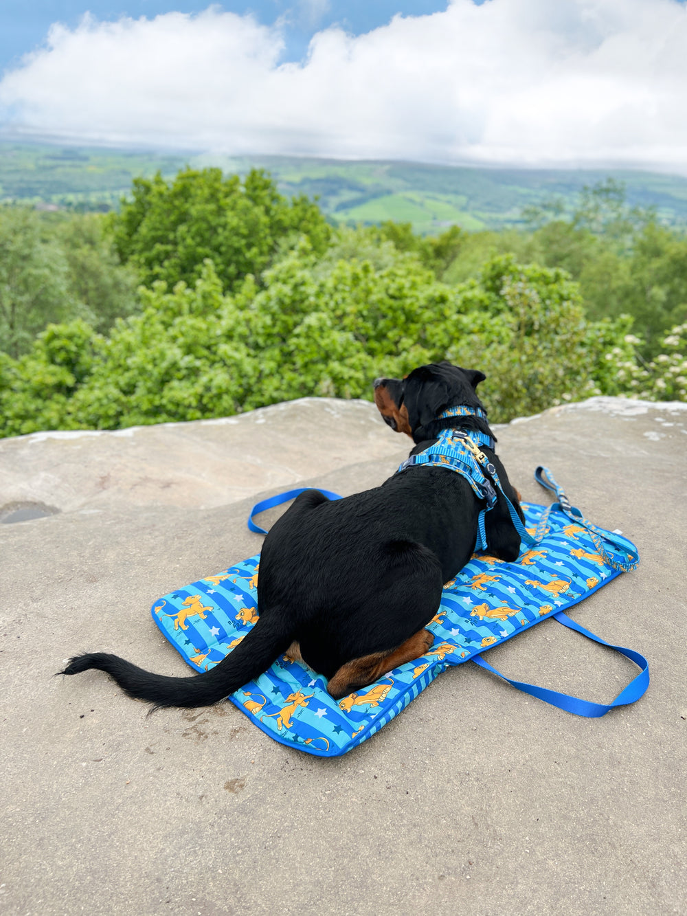 Disney© Travel Mat - Simba