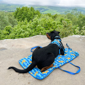 Disney© Travel Mat - Simba