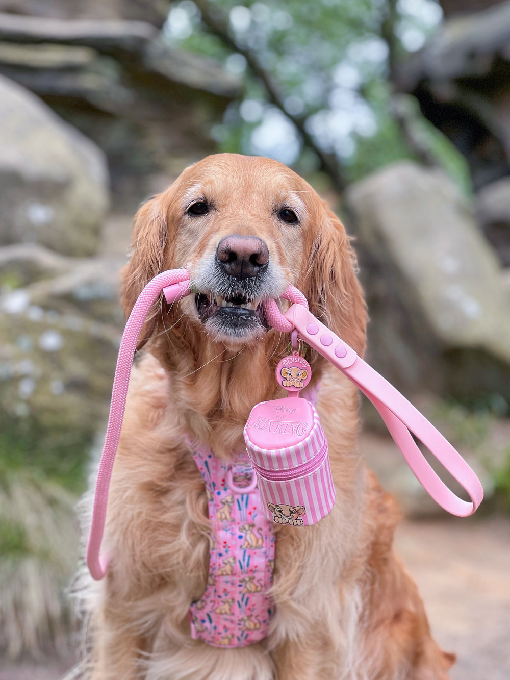 Disney© Treat Pouch - Nala