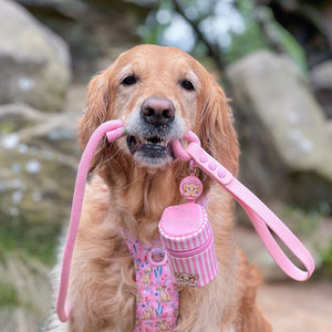 Disney© Treat Pouch - Nala