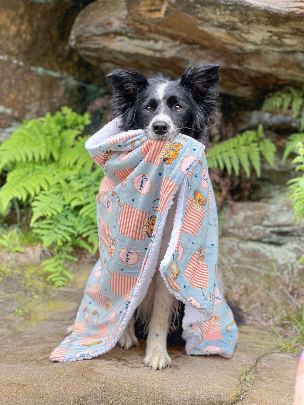 Disney© Dog Blanket - Lion Friends