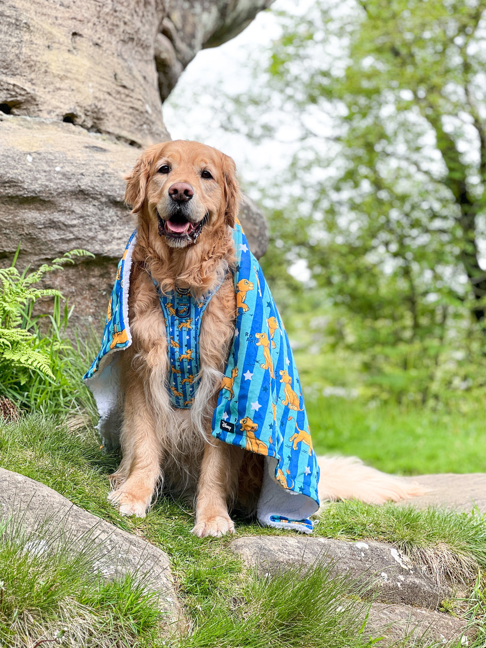 Disney© Dog Blanket - Simba