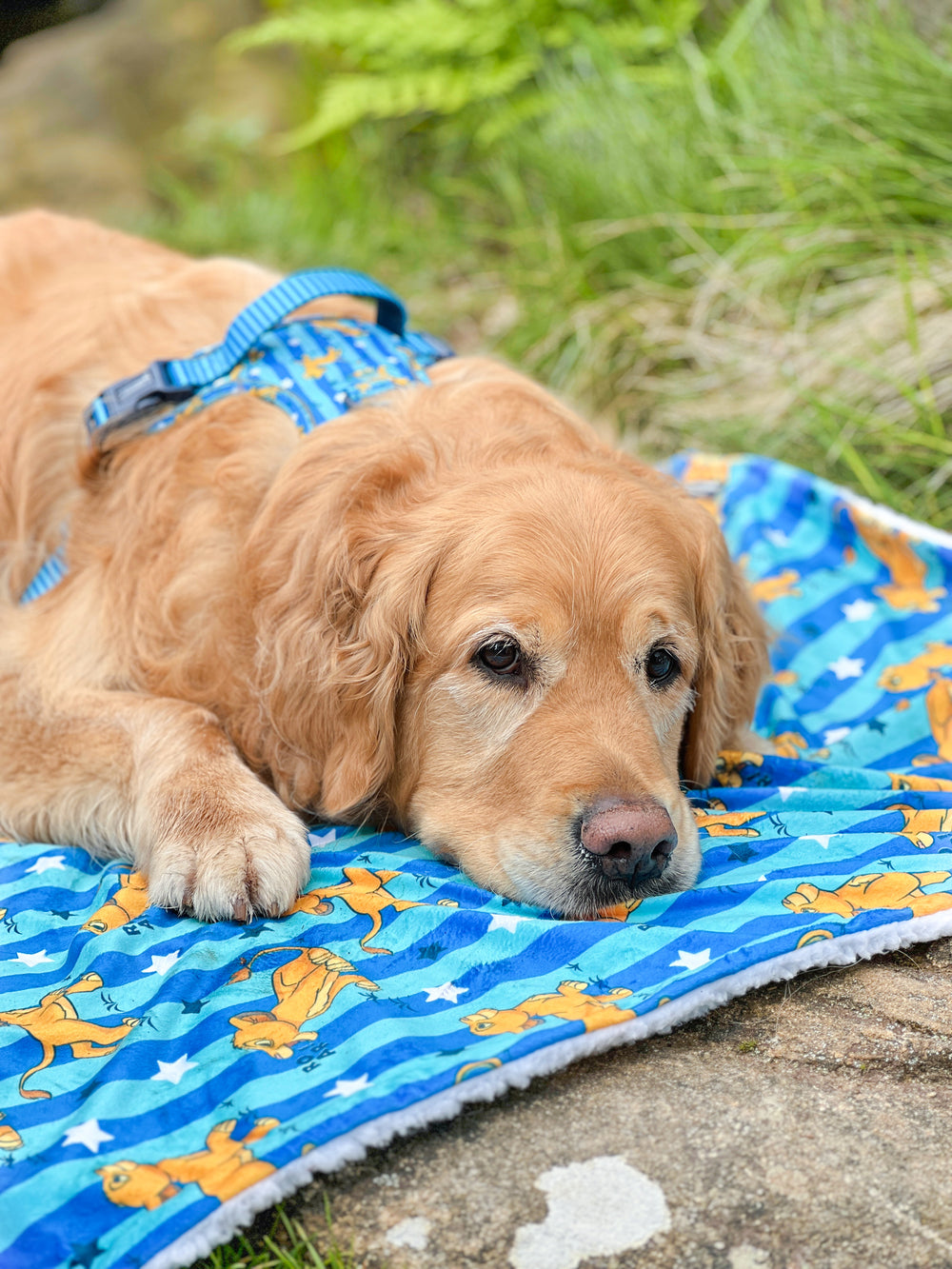 Disney© Dog Blanket - Simba