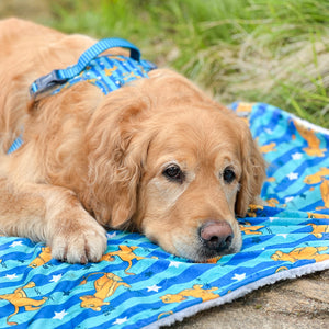 Disney© Dog Blanket - Simba