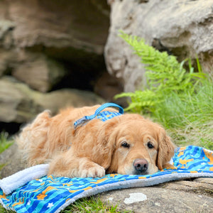 Disney© Dog Blanket - Simba