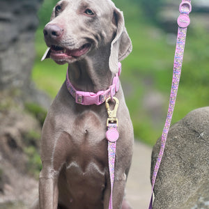 Disney© Lead - Nala