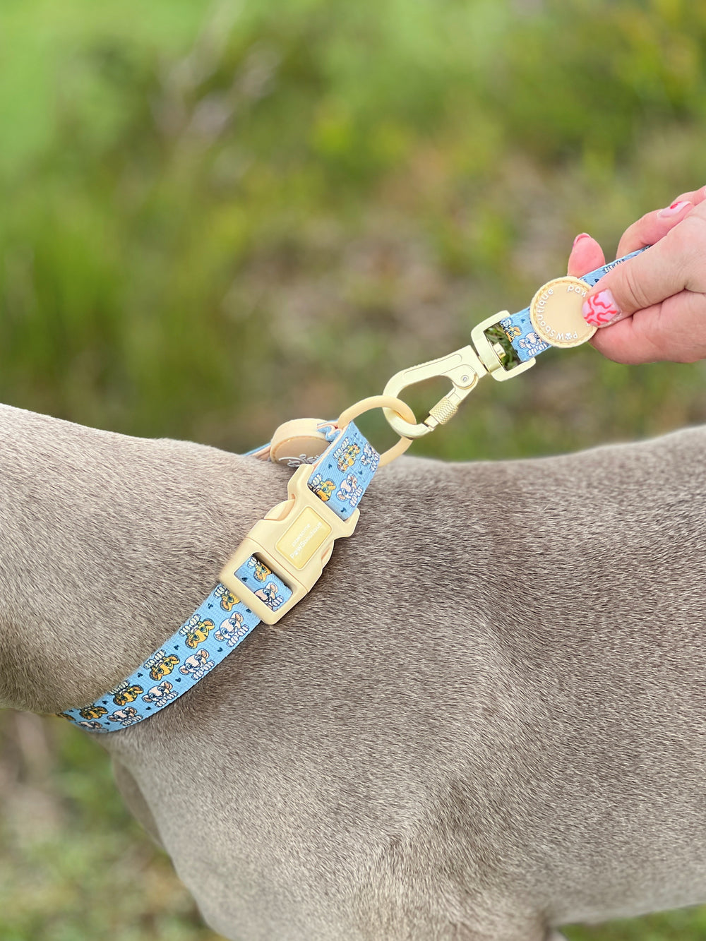 Disney© Collar - Lion Friends