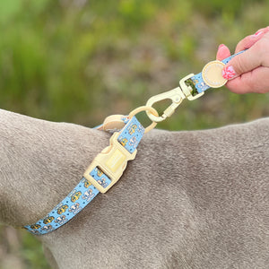 Disney© Collar - Lion Friends