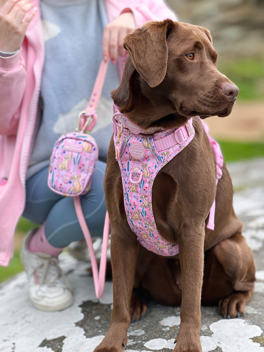 Disney© Treat + Go Bag - Nala