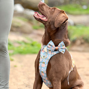 Disney© Bow Tie - Lion Friends