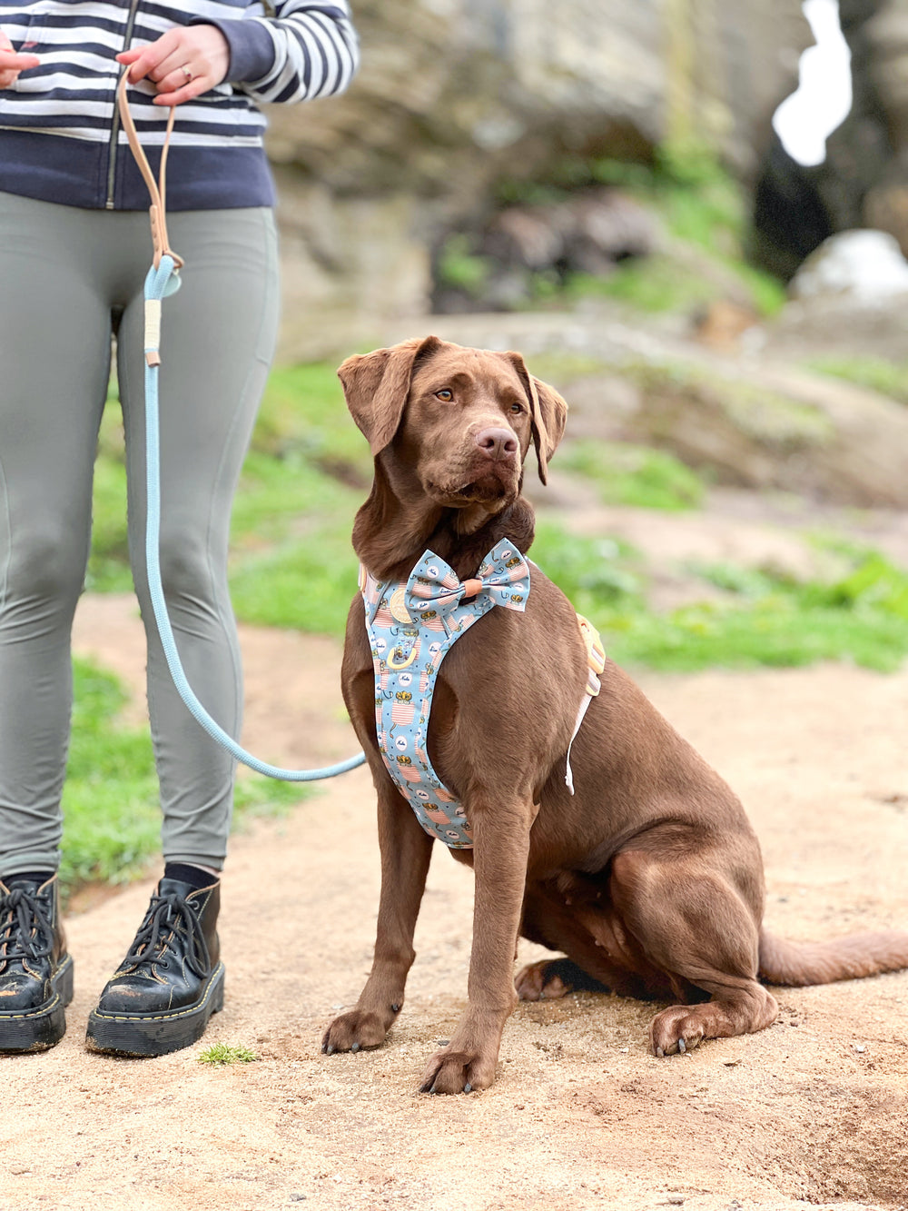 Disney© 4ft Rope Lead - Lion Friends - Sage and Mustard