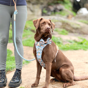 Disney© 4ft Rope Lead - Lion Friends - Sage and Mustard