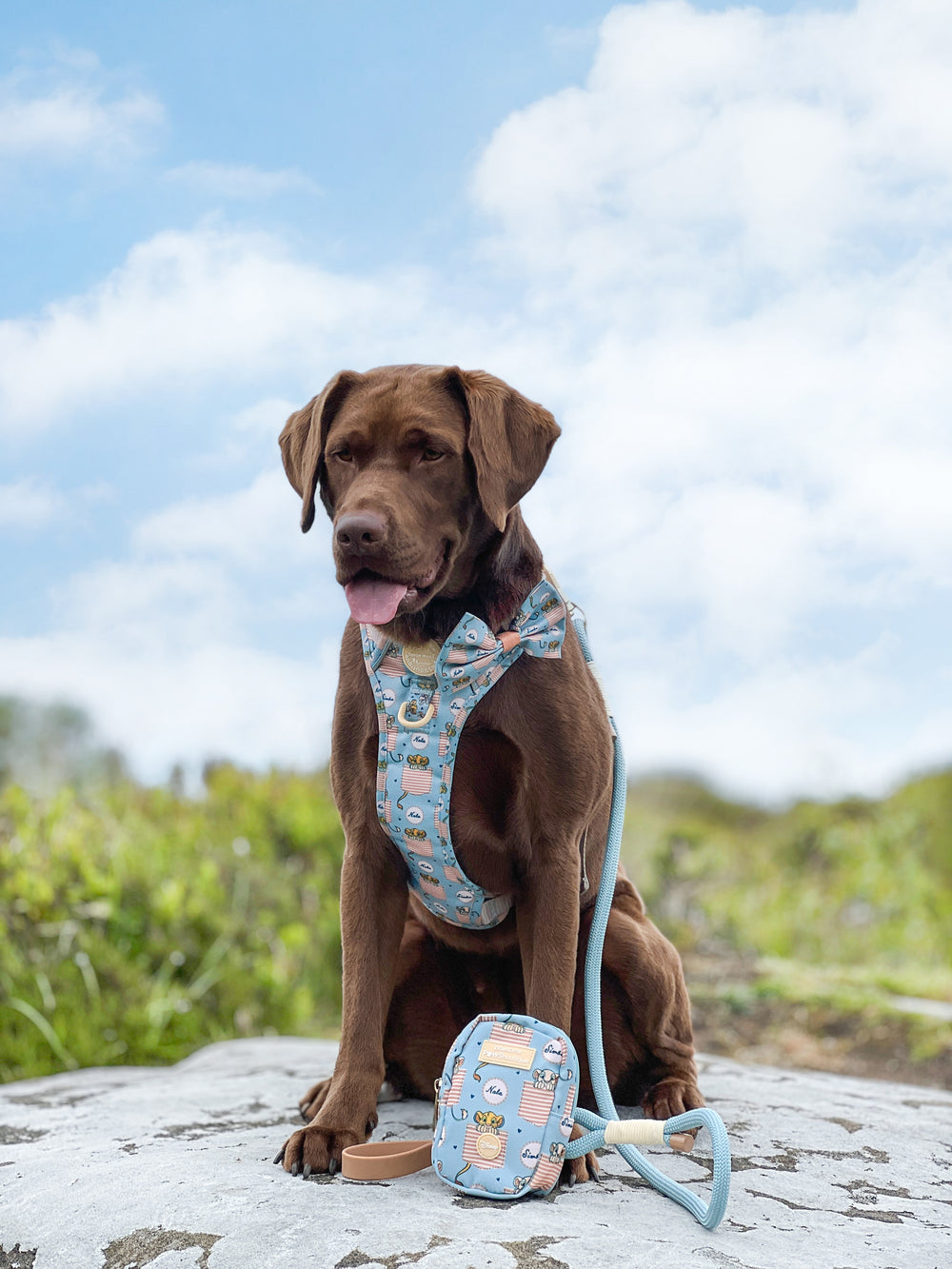 Disney© Treat + Go Bag - Lion Friends