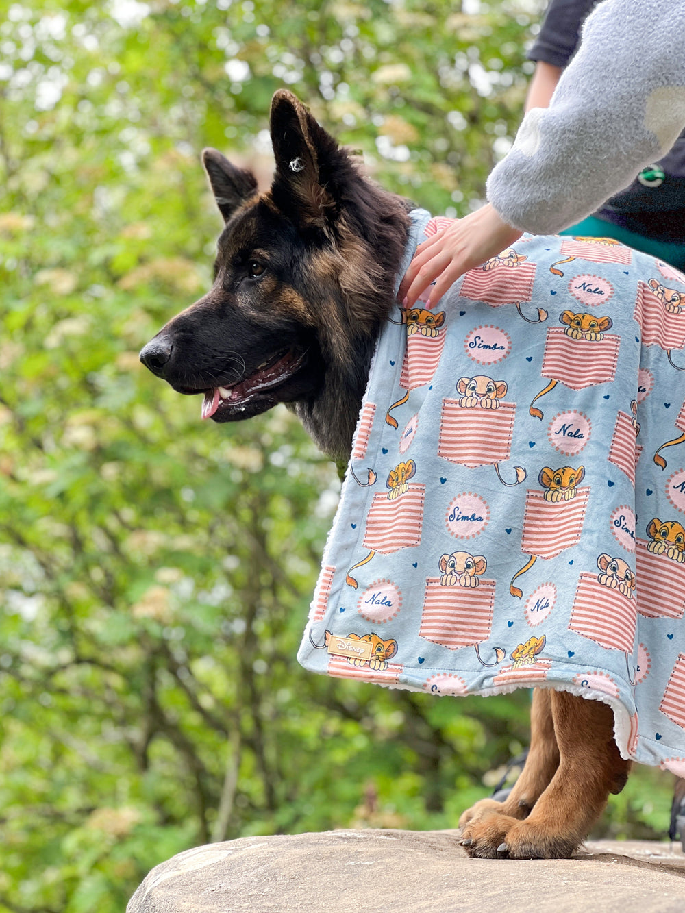 Disney© Dog Blanket - Lion Friends