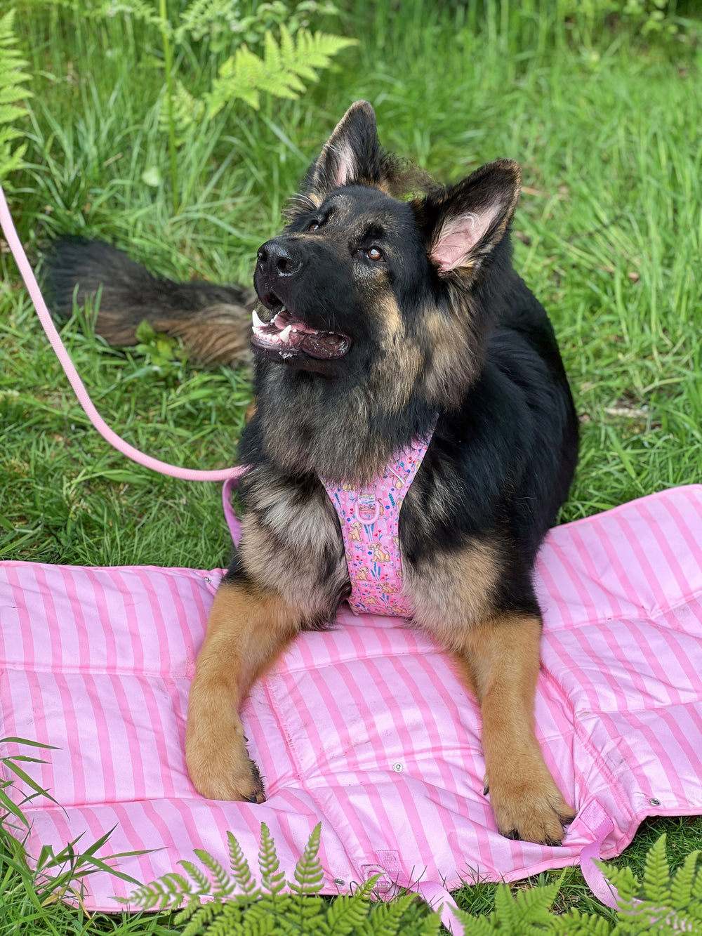 Disney© Travel Mat - Nala