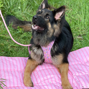 Disney© Travel Mat - Nala